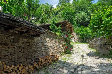 Bulgaristan 'ın Blagoevgrad Bölgesi, Otantik 19. yüzyıl evleriyle Kovaçevitsa köyü
