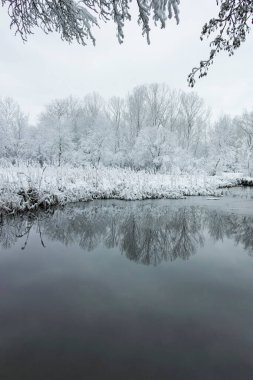 Bulgaristan 'ın Sofya kentindeki South Park' ın şaşırtıcı kış manzarası