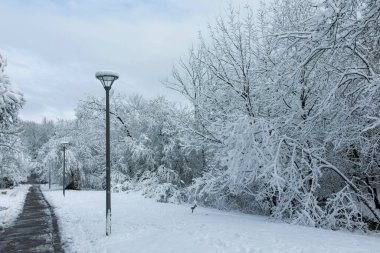 Bulgaristan 'ın Sofya kentindeki South Park' ın şaşırtıcı kış manzarası