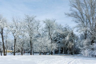 Bulgaristan 'ın Sofya kentindeki South Park' ın şaşırtıcı kış manzarası