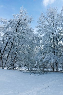 Bulgaristan 'ın Sofya kentindeki South Park' ın şaşırtıcı kış manzarası
