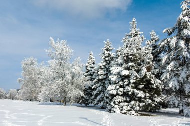 Bulgaristan 'ın Sofya kentindeki South Park' ın şaşırtıcı kış manzarası