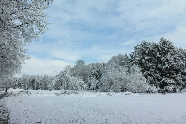 Удивительный Зимний Вид Южного Парка Городе София Болгария — стоковое фото