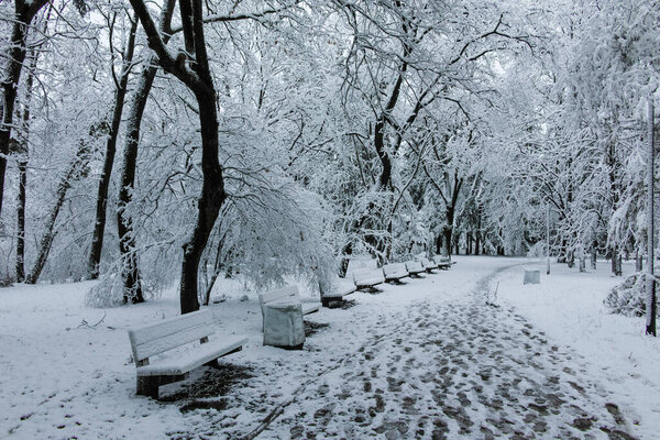 Amazing Winter view of South Park in city of Sofia, Bulgaria