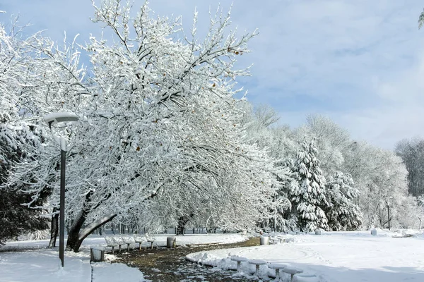 Fantastisk Vinter Utsikt Över South Park Staden Sofia Bulgarien — Stockfoto