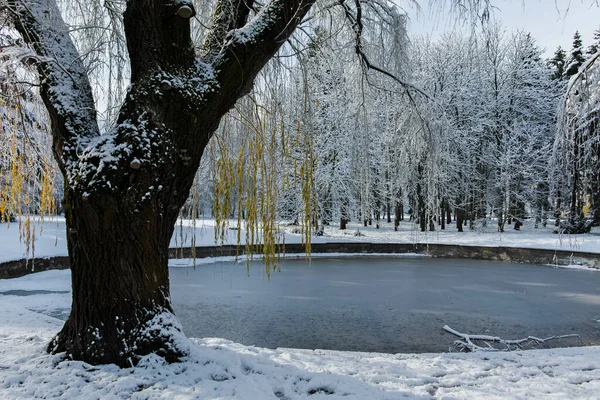 Amazing Winter View South Park City Sofia Bulgaria — Stock Photo, Image