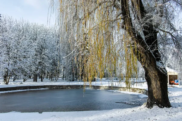 Niesamowity Widok Park Południowy Mieście Sofia Bułgaria — Zdjęcie stockowe