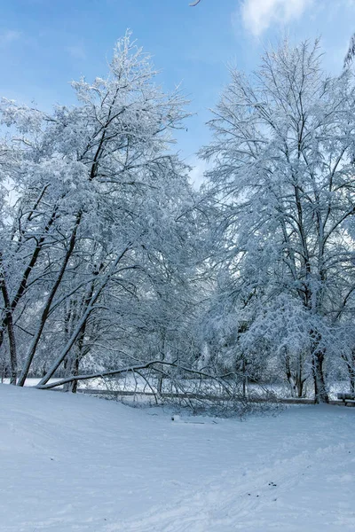 Niesamowity Widok Park Południowy Mieście Sofia Bułgaria — Zdjęcie stockowe