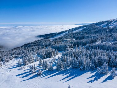 Bulgaristan 'ın Sofya Şehir Bölgesi, Vitosha Dağı' nın Hava Kış Manzarası