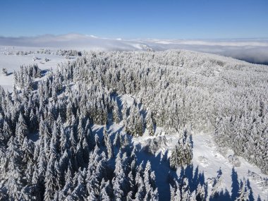 Bulgaristan 'ın Sofya Şehir Bölgesi, Vitosha Dağı' nın Hava Kış Manzarası