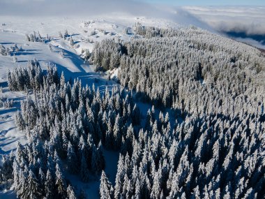 Bulgaristan 'ın Sofya Şehir Bölgesi, Vitosha Dağı' nın Hava Kış Manzarası