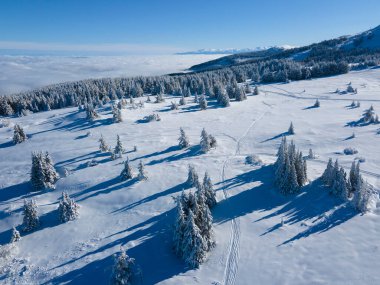 Bulgaristan 'ın Sofya Şehir Bölgesi, Vitosha Dağı' nın Hava Kış Manzarası