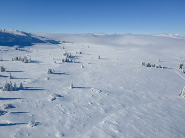 Bulgaristan 'ın Sofya Şehir Bölgesi, Vitosha Dağı' nın Hava Kış Manzarası