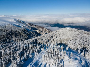 Bulgaristan 'ın Sofya Şehir Bölgesi, Vitosha Dağı' nın Hava Kış Manzarası
