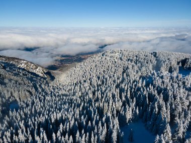 Bulgaristan 'ın Sofya Şehir Bölgesi, Vitosha Dağı' nın Hava Kış Manzarası