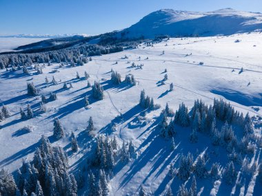 Bulgaristan 'ın Sofya Şehir Bölgesi, Vitosha Dağı' nın Hava Kış Manzarası