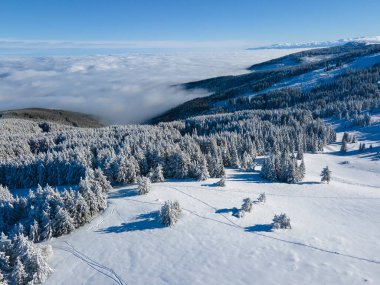 Bulgaristan 'ın Sofya Şehir Bölgesi, Vitosha Dağı' nın Hava Kış Manzarası