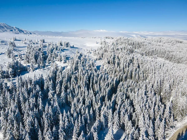 Aerial Winter View Vitosha Mountain Περιφέρεια Πόλης Της Σόφιας Βουλγαρία — Φωτογραφία Αρχείου