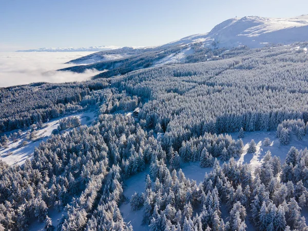 Aerial Winter View Vitosha Mountain Sofia City Region Bulgaria — Stock Photo, Image