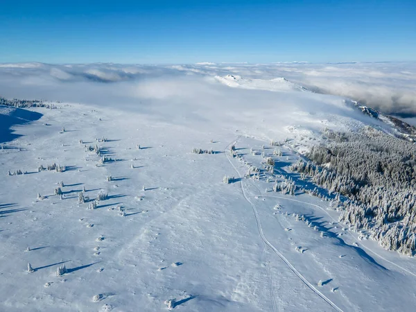Luchtfoto Winter Uitzicht Vitosha Mountain Sofia City Region Bulgarije — Stockfoto