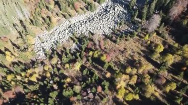 Bulgaristan 'ın Vitosha Dağı' nın İnanılmaz Sonbaharı