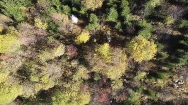 Bulgaristan 'ın Vitosha Dağı' nın İnanılmaz Sonbaharı