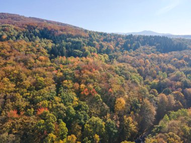 Bulgaristan 'ın Sofya kentindeki Vitosha Dağı' nın şaşırtıcı Sonbahar manzarası