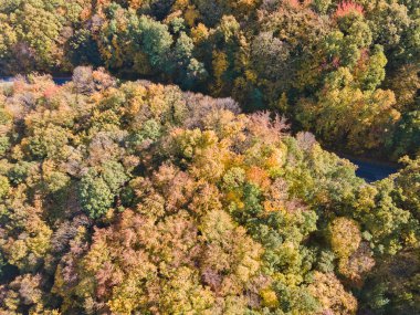 Bulgaristan 'ın Sofya kentindeki Vitosha Dağı' nın şaşırtıcı Sonbahar manzarası