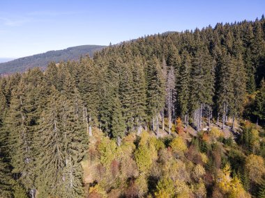 Bulgaristan 'ın Sofya kentindeki Vitosha Dağı' nın şaşırtıcı Sonbahar manzarası