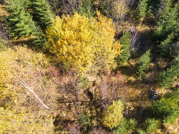 Amazing Aerial Autumn Panorama Vitosha Mountain Sofia City Region Bulgaria — Stock Photo, Image