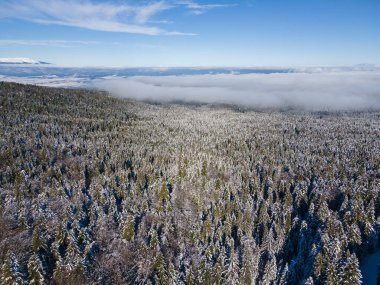 Bulgaristan 'ın Sofya Bölgesi' ndeki Borovets kayak merkezi yakınlarındaki Rila Dağı 'nın kış manzarası