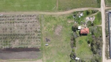 Bulgaristan 'ın Filibe Bölgesi' nin Tsalapitsa kasabası yakınlarındaki Yukarı Trakya Ovası kırsal manzarası