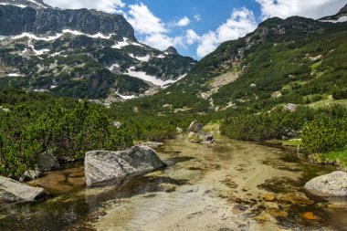 Bulgaristan 'ın Popovo Gölü yakınlarındaki Pirin Dağı' nın şaşırtıcı yaz manzarası