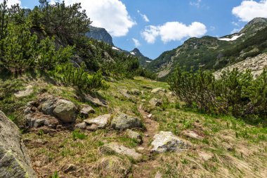 Bulgaristan 'ın Popovo Gölü yakınlarındaki Pirin Dağı' nın şaşırtıcı yaz manzarası