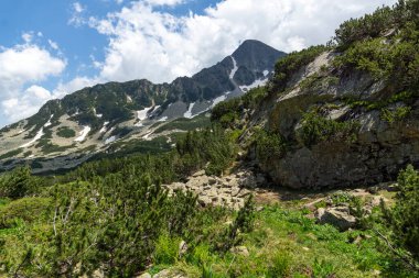Bulgaristan 'ın Popovo Gölü yakınlarındaki Pirin Dağı' nın şaşırtıcı yaz manzarası