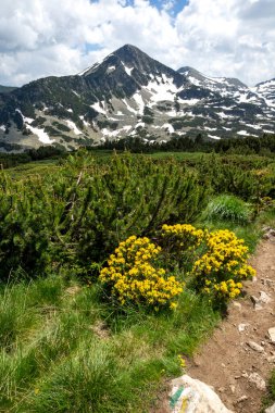 Bulgaristan 'ın Popovo Gölü yakınlarındaki Pirin Dağı' nın şaşırtıcı yaz manzarası