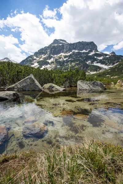 Erstaunliche Sommer Ansicht Des Pirin Gebirges Der Nähe Des Popovo — Stockfoto