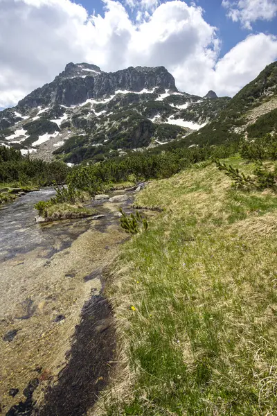 Amazing Summer View Pirin Mountain Popovo Lake Bulgaria — Stock Photo, Image