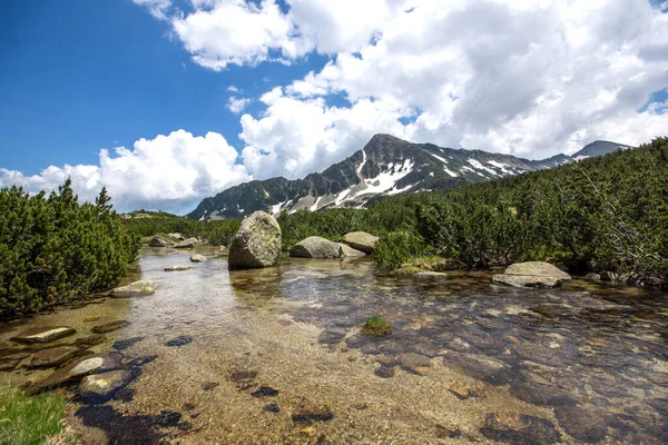 Vista Incrível Verão Montanha Pirin Perto Lago Popovo Bulgária — Fotografia de Stock