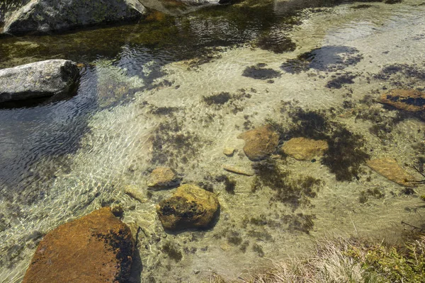 Vista Incrível Verão Montanha Pirin Perto Lago Popovo Bulgária — Fotografia de Stock