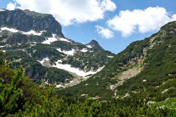 Erstaunliche Sommer Ansicht Des Pirin Gebirges Der Nähe Des Popovo — Stockfoto