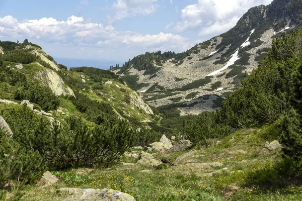 Amazing Summer View Pirin Mountain Popovo Lake Bulgaria — Stok Foto