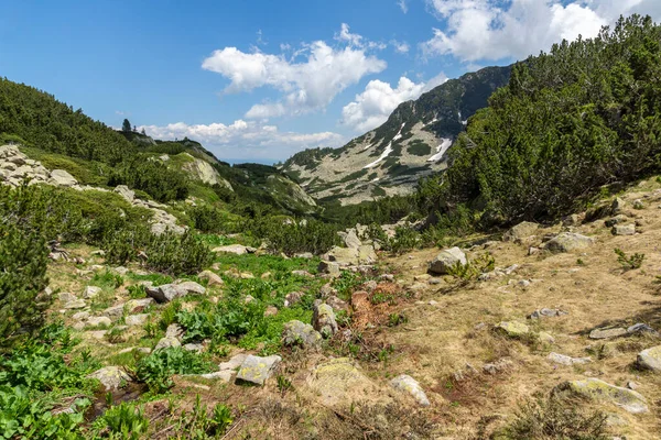 Increíble Vista Verano Montaña Pirin Cerca Del Lago Popovo Bulgaria —  Fotos de Stock