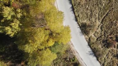 Bulgaristan 'ın Vitosha Dağı' nın İnanılmaz Sonbaharı