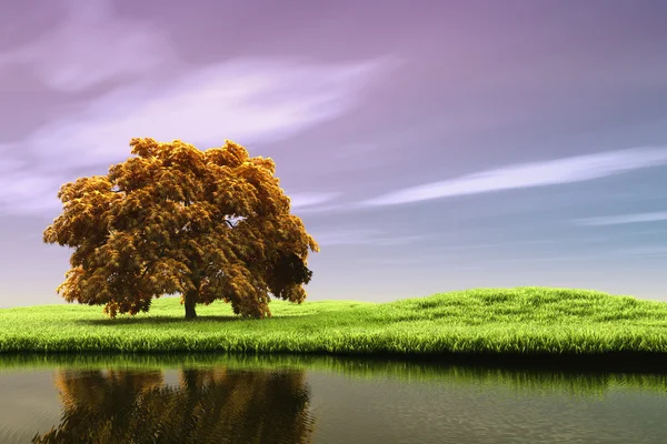 Paisagem Primavera — Fotografia de Stock