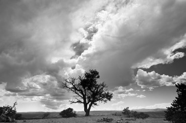 Big sky country siyah beyaz