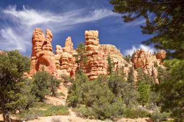 sessiz kumtaşı sentinals