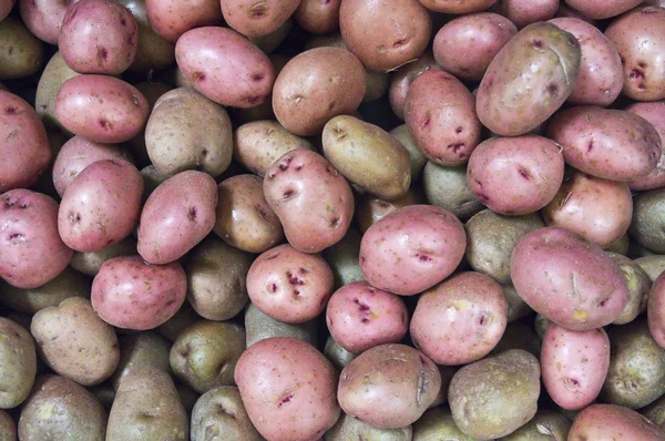 Eyes on Red Potatoes — Stock Photo, Image