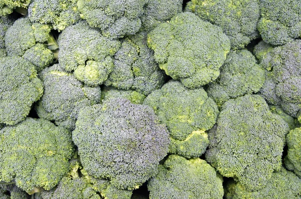 Klasar av broccoli — Stockfoto