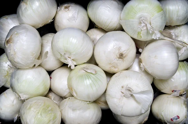 Big White Onions — Stock Photo, Image